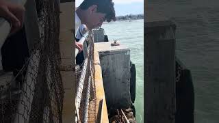 IMG 5145