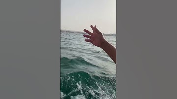 سورة الهمزة للقارئ محمد الفقيه#القرآن الكريم راحة نفسية🖤🖤