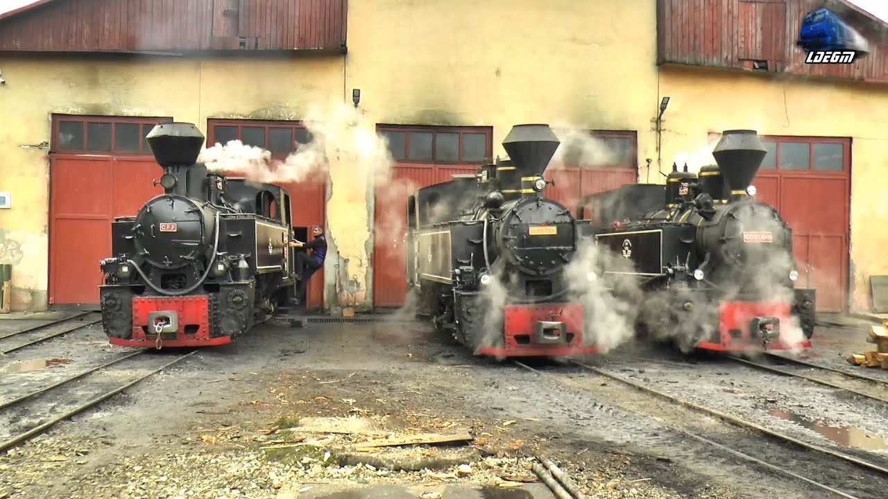 🚂🚂🚂Locomotive cu Abur CFF Dampfloks/Steam Locomotives in Gara Vișeu de Sus Station - 04 January 2021