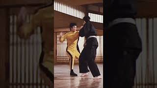 Brilliant Kung Fu Fight kungfu
