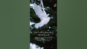 القرآن الكريم | قَالَ يَا أَيُّهَا الْمَلَأُ أَيُّكُمْ يَأْتِينِي بِعَرْشِهَا .