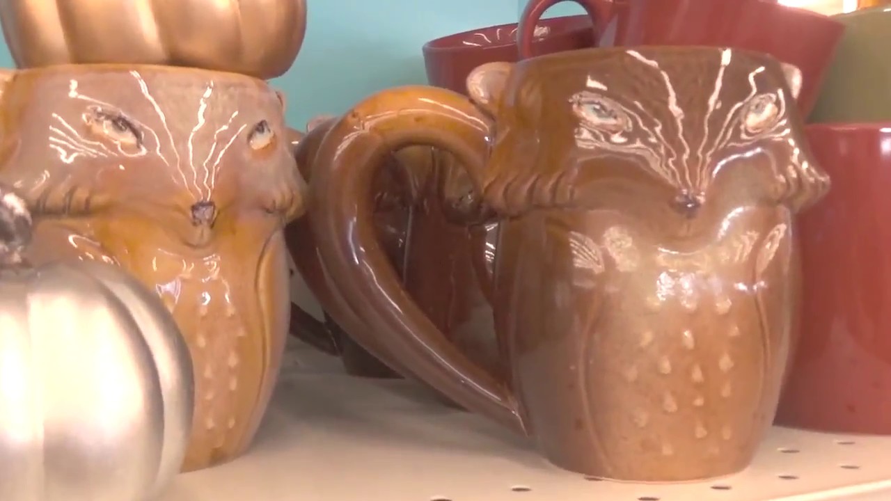 Rite Aid Fall 2017//Store walk through, pumpkins, owls and more! YouTube