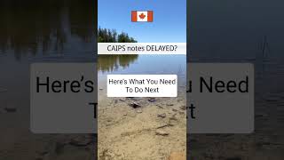 Caips Notes Delayed Heres What You Need To Do Next imygrate ircc