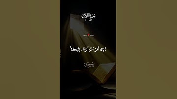الآية 5-4 من سورة الطَّلَاق :أرح استمع إلى تلاوة خاشعة من القرآن الكريم تساعد على التدبر والخشوع