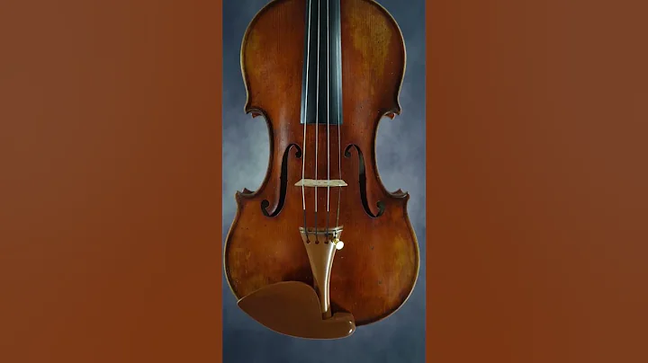 violin made in italy