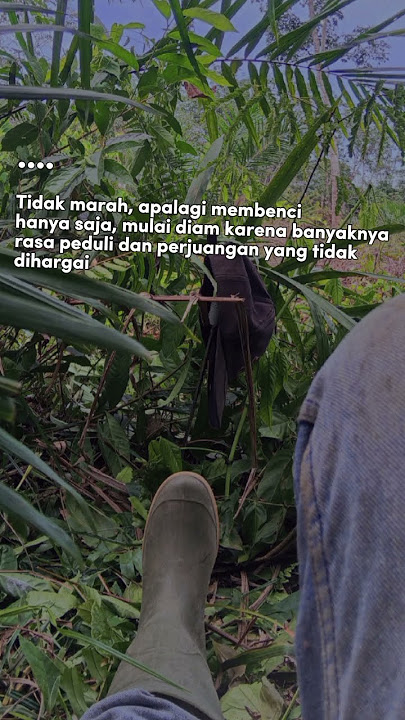 Download lagu #motivation #quotes #shorst d@