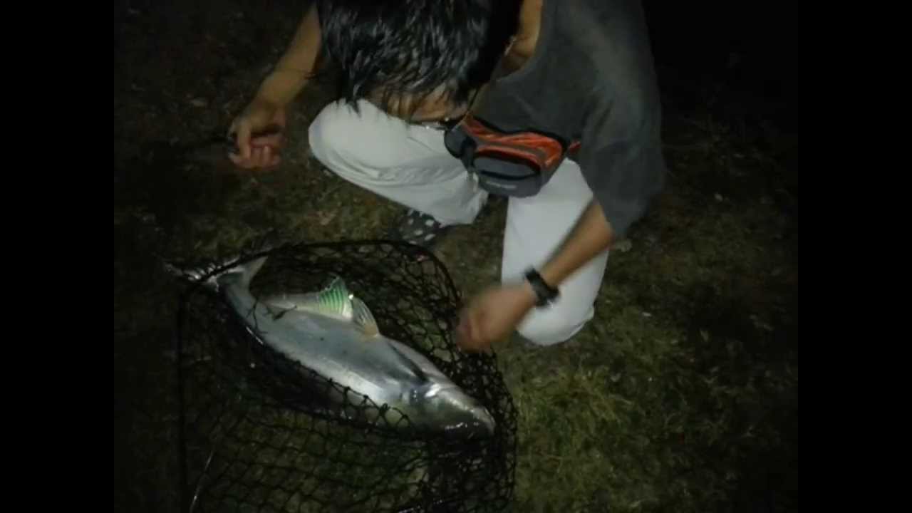  Pancing Ikan Patin Umpan Patin  YouTube