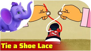 Tie a Shoe Lace Song
