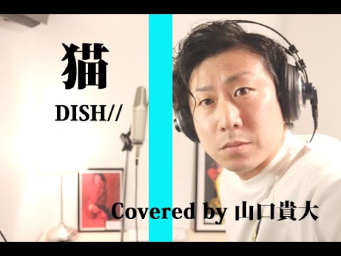 #天使の歌声  猫／DISH//【COVERED BY 山口貴大】〜スタジオで歌ってみた〜