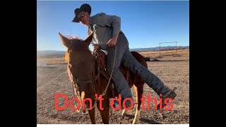 5 things NOT to do with your horse