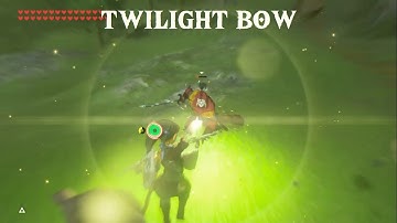 Zelda Breath ot the Wild: Twilight Bow Showcase