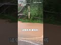 【看不到路】「巴威」發威大雨狂炸 苗栗泰安道路變湍流黃河｜颱風｜巴威｜苗栗｜泰安