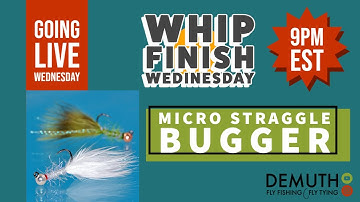How To Fly Tying:  Micro Straggle Bugger--Live on Whip Finish Wednesday