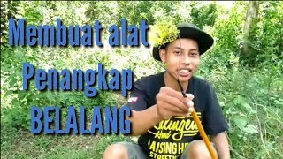 Alat Penangkap Belalalang | cara membuat alat penangkap belalang
