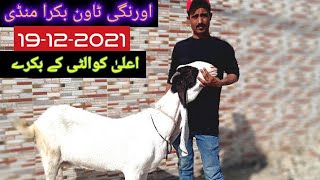 Orangi Town Bakra Mandi Rate Update 19-12-2021 منڈی میں کیسا مال آیا اورنگی ٹاون بکرا منڈی