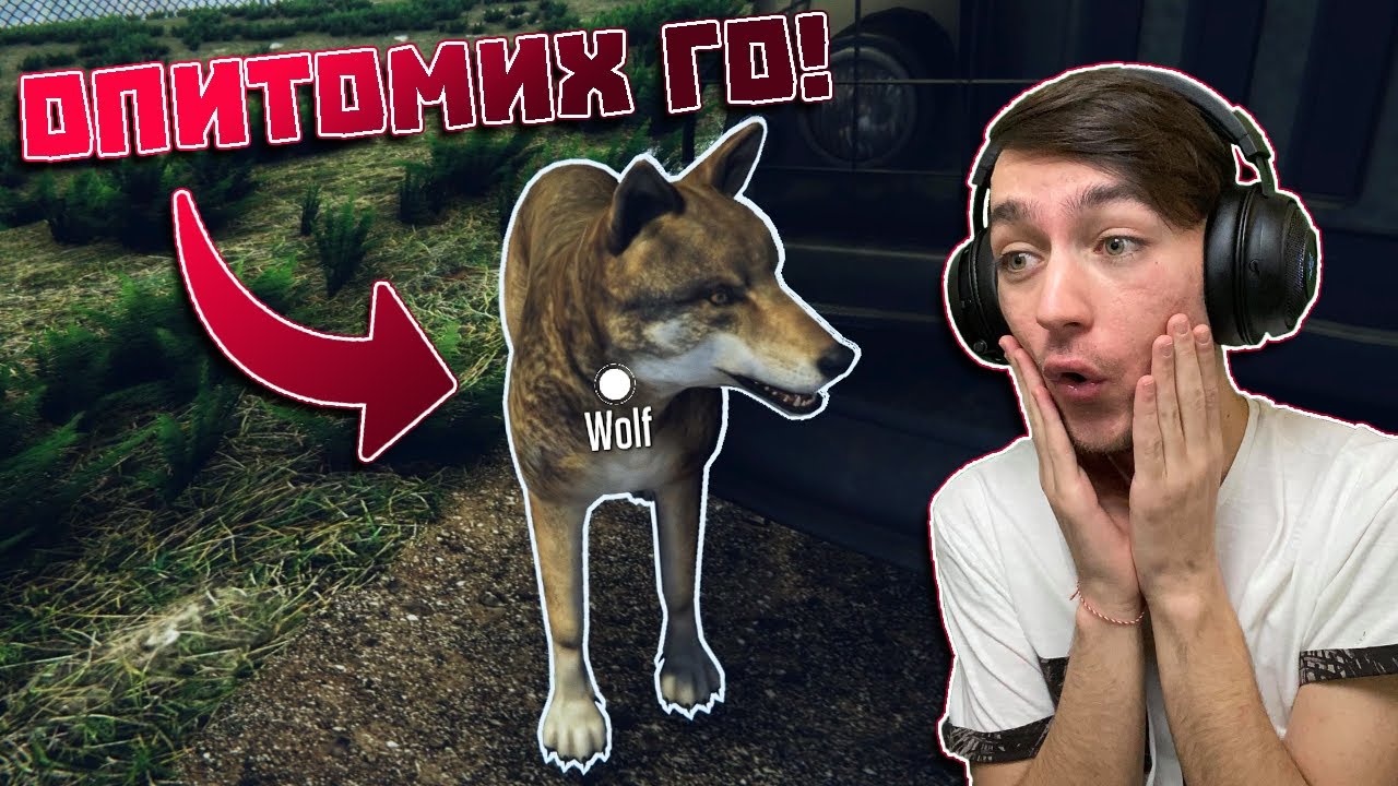 ОПИТОМИХ СИ ВЪЛК! Border Officer Епизод #16