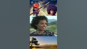 #habesha #video #eritrian #eritreanmusic #duet #love #eritreanmoviie #eritreansongs