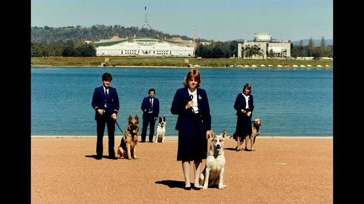 Detector Dogs in the Australian Border Force