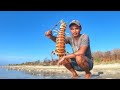 Gigantic Mantis Shrimp of madura Remote Island Catch Them With Simple bamboo trap