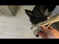 Beginning of video