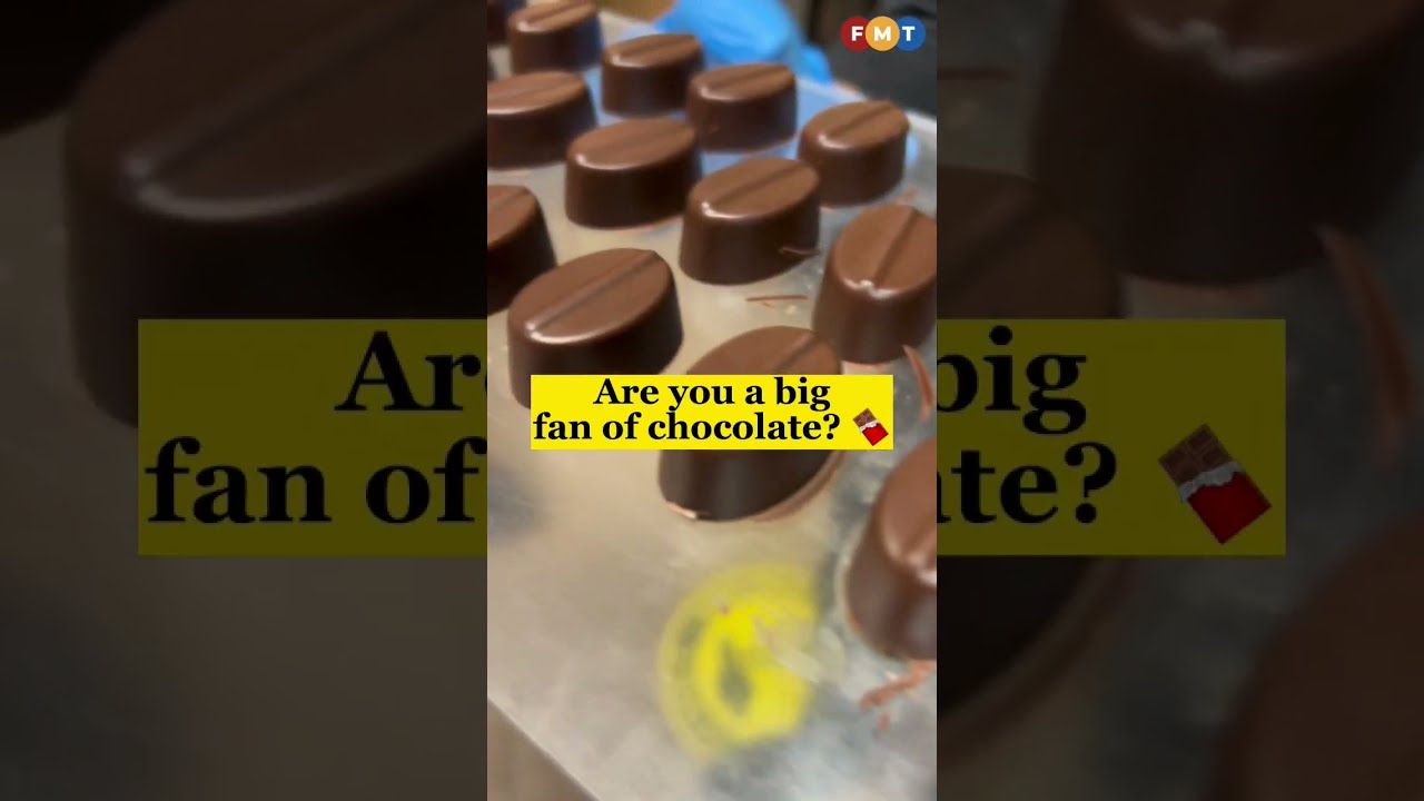 🍫 Learn, see, eat at the 