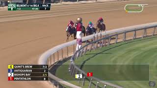 2026 Westchester Stakes (G3) - Antiquarian Runs Away From Bishops Bay at Aqueduct - 05/03/2026