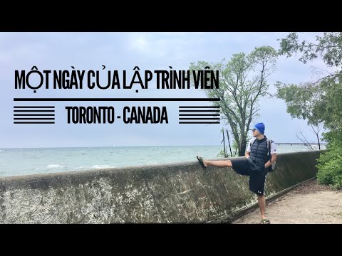 Một Ngày Của Lập Trình Viên Tại Toronto Canada – Mèo Đi Bụi