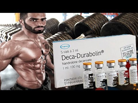 Deca durabolin dosis para principiantes