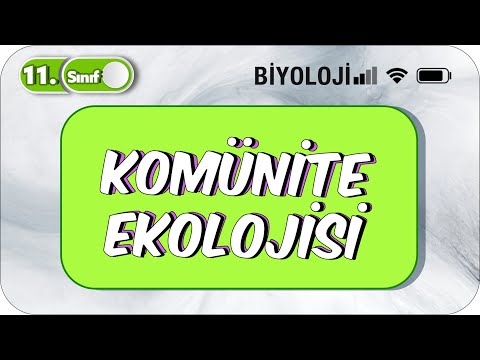 11. Sınıf Biyoloji Komünite Ekolojisi | TEK VİDEODA KONU ANLATIMI ✍️