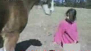 مقطع يوتوب طفلة صغيرة تضرب حصان شوف ردة فعل الحصان ..؟.3gp مقطع يوتوب طفلة صغيرة تضرب حصان شوف ردة فعل الحصان ..؟.3gp
