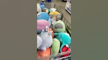 Five Below New Squishmallow Drop