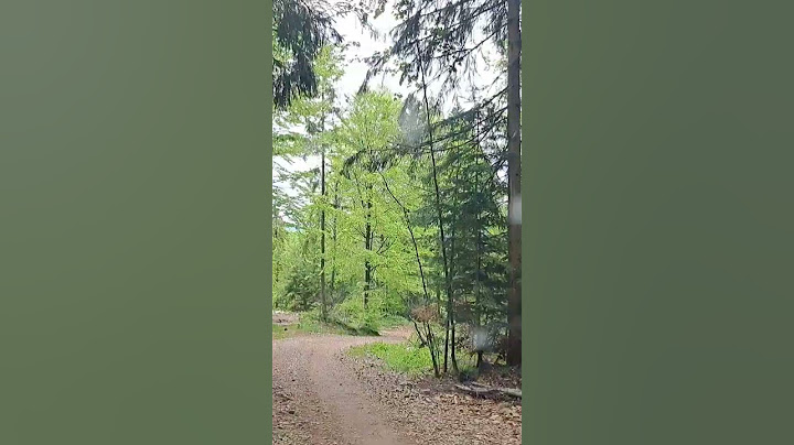 Aventura în Inima Apusenilor: Drumul Secret din Gârda de Sus