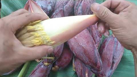 Tác Dụng Không Ngờ Của Hoa Chuối Đối Với Sức Khỏe