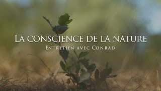 Conrad La Conscience De La Nature
