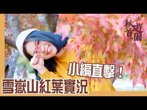 【秋遊首爾】小編直擊雪嶽山紅葉實況