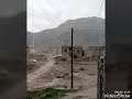ابو حنظله يعين الله من ودع بلاده 