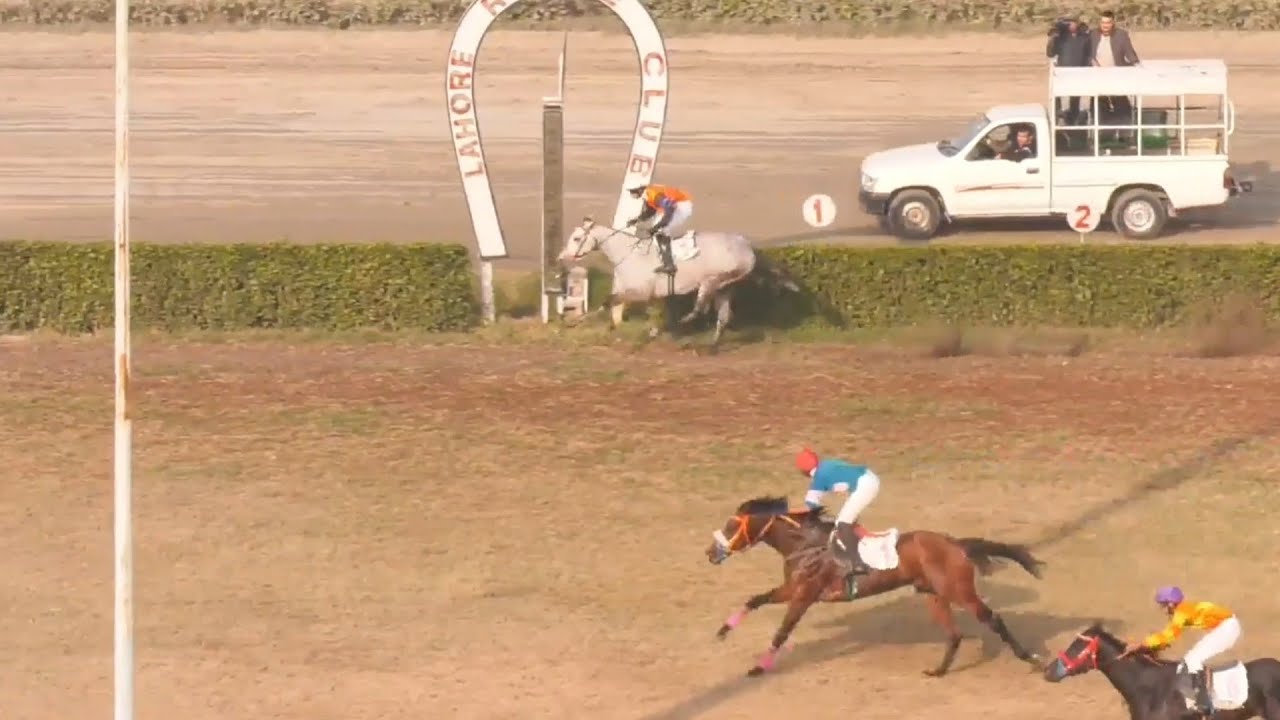 5th Race 1000 Meter Winner Deep Seek | Ridden By Jockey Awais Anjum Trained By AB Malik |