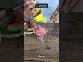 You tried to survive summer and found this 🍉🥶Now you’re emotionally attached to shaved ice.