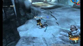 C9 Assassin PvE