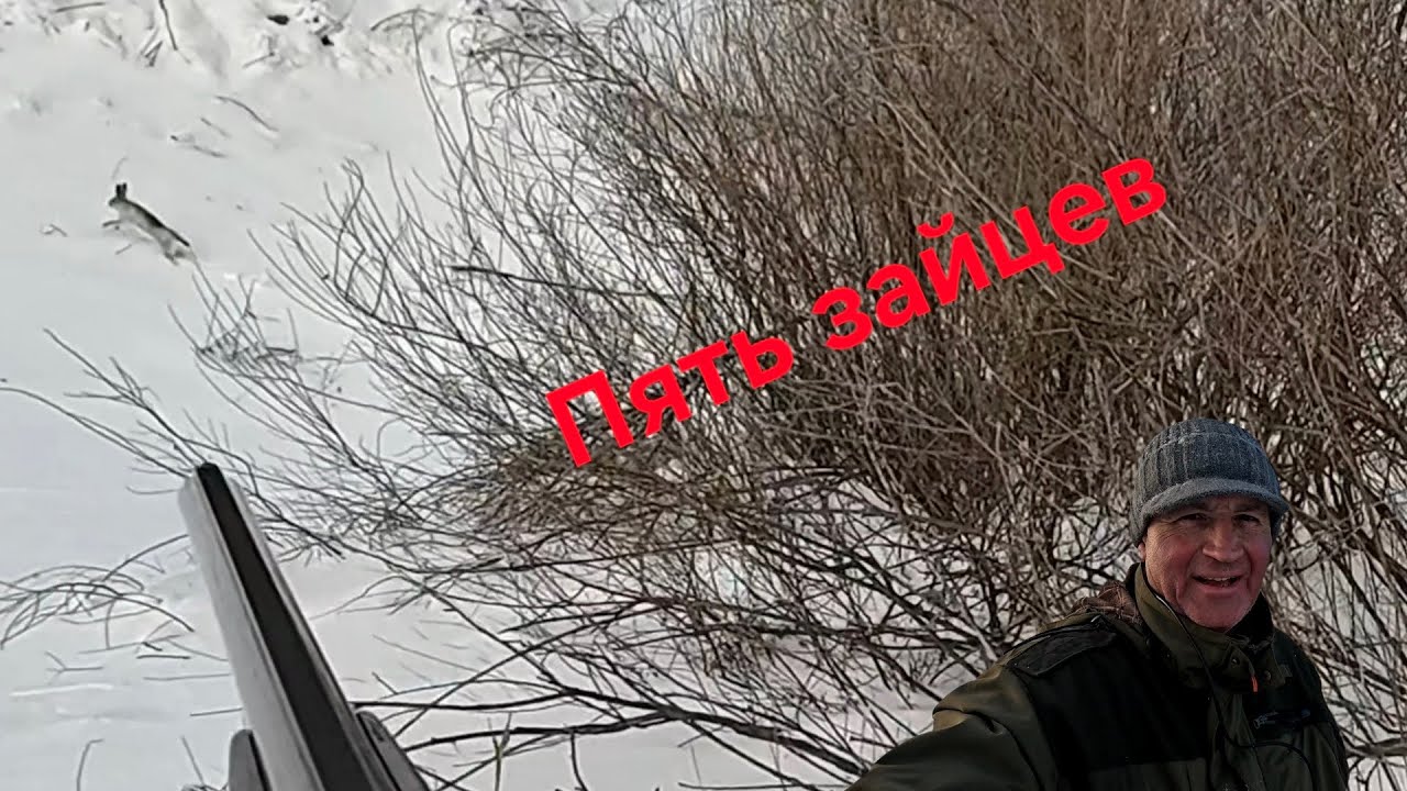 Охота на зайцев 2026 