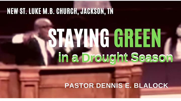 "Stay Green In A Drought Season," Jeremiah 17:7-8,...