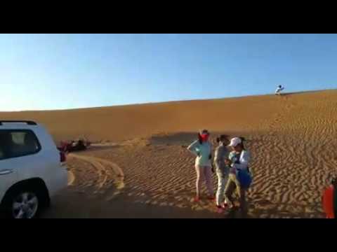 Universal Travel U0026 Tourism