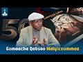 Gumaacha Qabsoo Walqixxummaa LenchoLeta BookLaunch Etv Afaan Oromoo 
