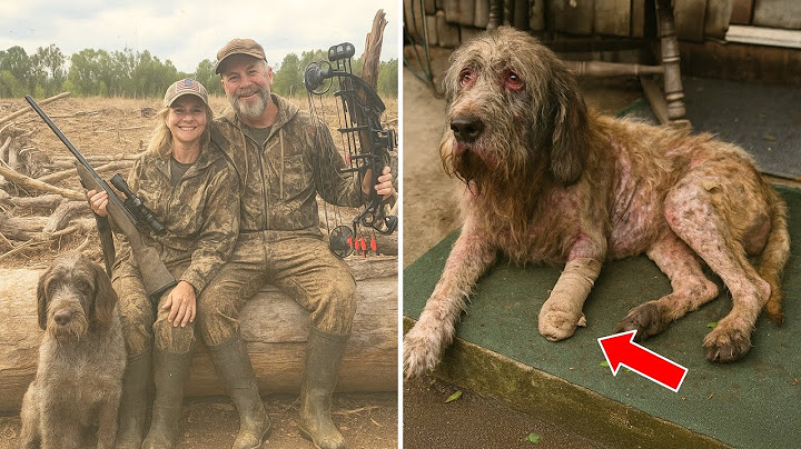 Un couple est parti chasser et a disparu — 2 ans plus tard, leur chien revient...