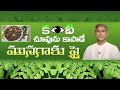 Healthy Curry Recipes | Healthy Recipes | Munagaku Fry | Manthena Satyanarayana Raju Latest Videos