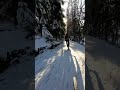 Зимний байк велосипед в Питере СПб #garmin #mtb #saintpetersburg #strava #зима #велосипеды #suunto