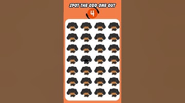 Vind de vreemde eend in de bijt | Test je observatievermogen 👁 | Nummer- en lettereditie - Quiz