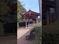 Esperanto/A Wongga Dance Song【福井の景色と坂本龍一】
