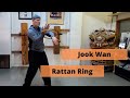 Beginning Wing Chun Ring Exercises