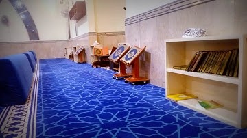 .. تلاوة .. ﴿ زُيِّنَ لِلنَّاسِ حُبُّ الشَّهَوَاتِ مِنَ النِّسَاءِ ﴾